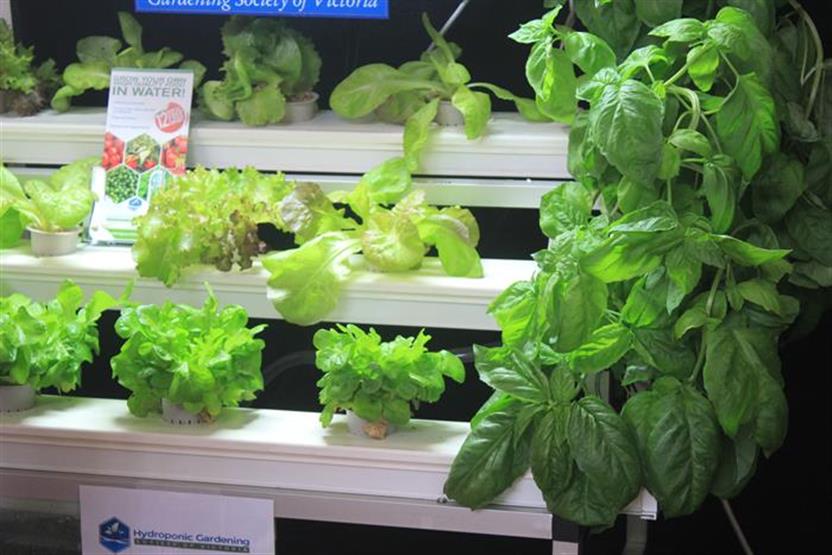 What is Hydroponics Hydroponic Courses