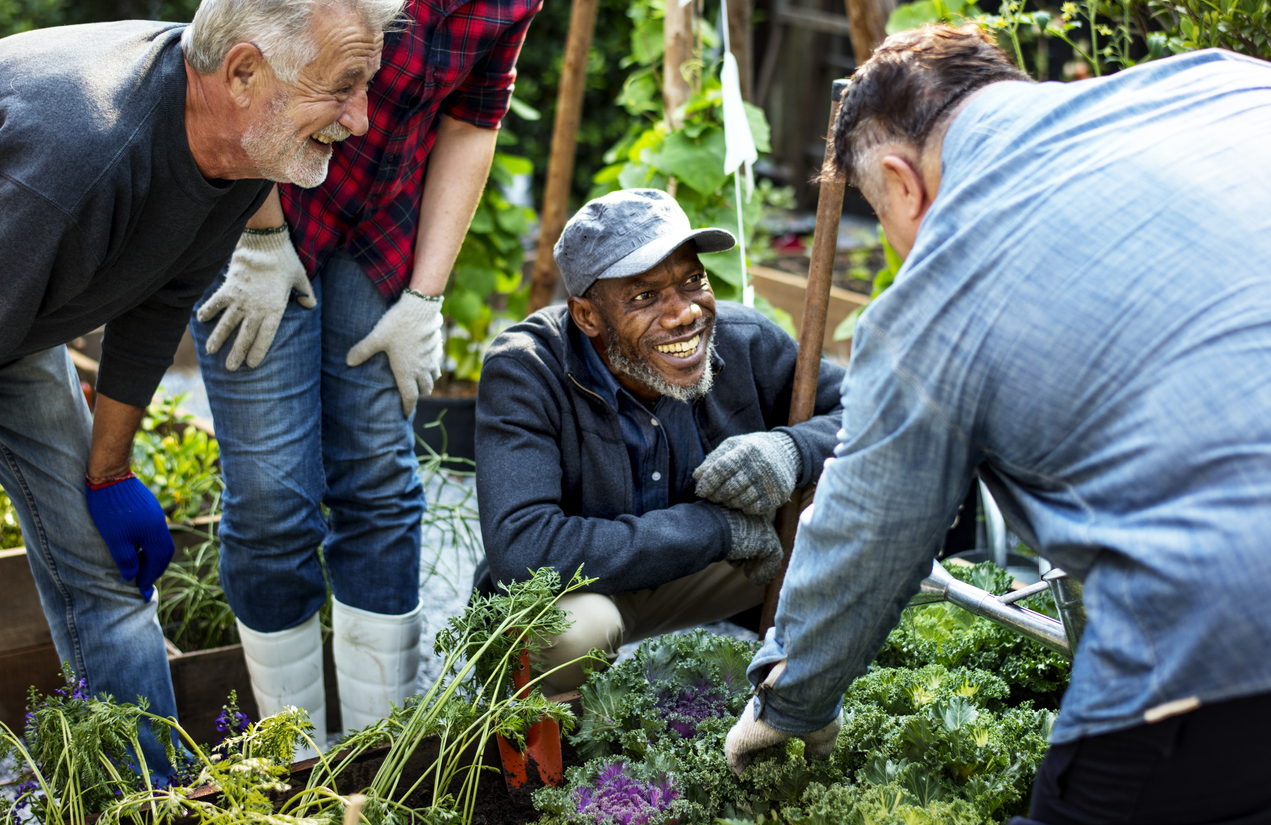 TRAIN IN HORTICULTURAL THERAPY - HELP OTHERS TO IMPROVE THEIR HEALTH AND WELLBEING