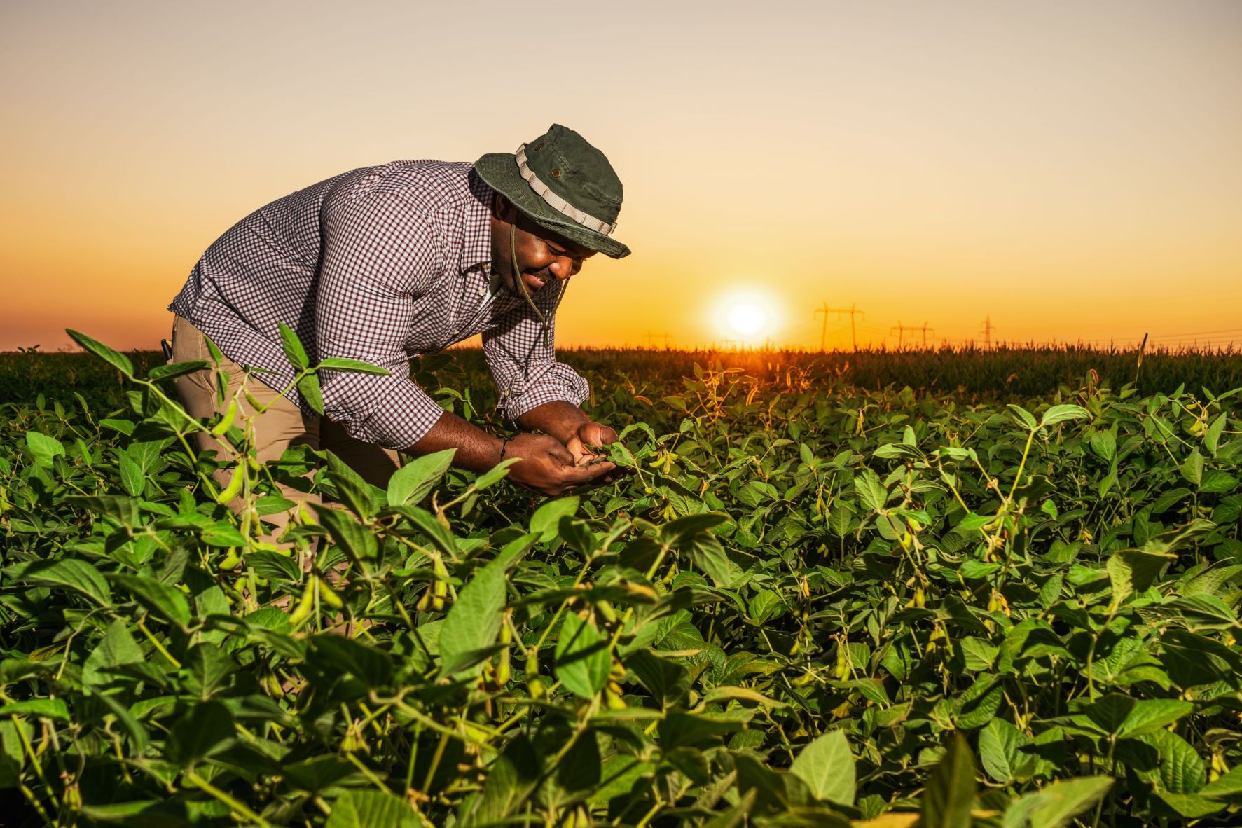 Working In Agriculture