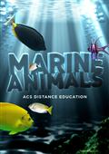 marine biology assignments