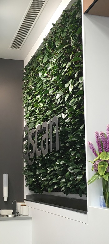 Hydroponic Equipment Management Course Study Hydroponics At Home