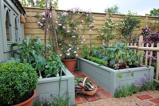 Self Sufficiency Distance Learning Sustainable Living