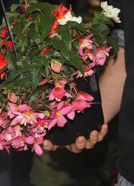 Online Plant Nursery Course
